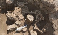 В Ипатовском районе обнаружены древние погребения