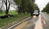 В Ипатовском городском округе в результате наезда на дерево погибли 2 человека 