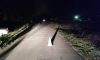 В Ипатовском округе снова произошло ДТП с участием пешехода в ночное время суток