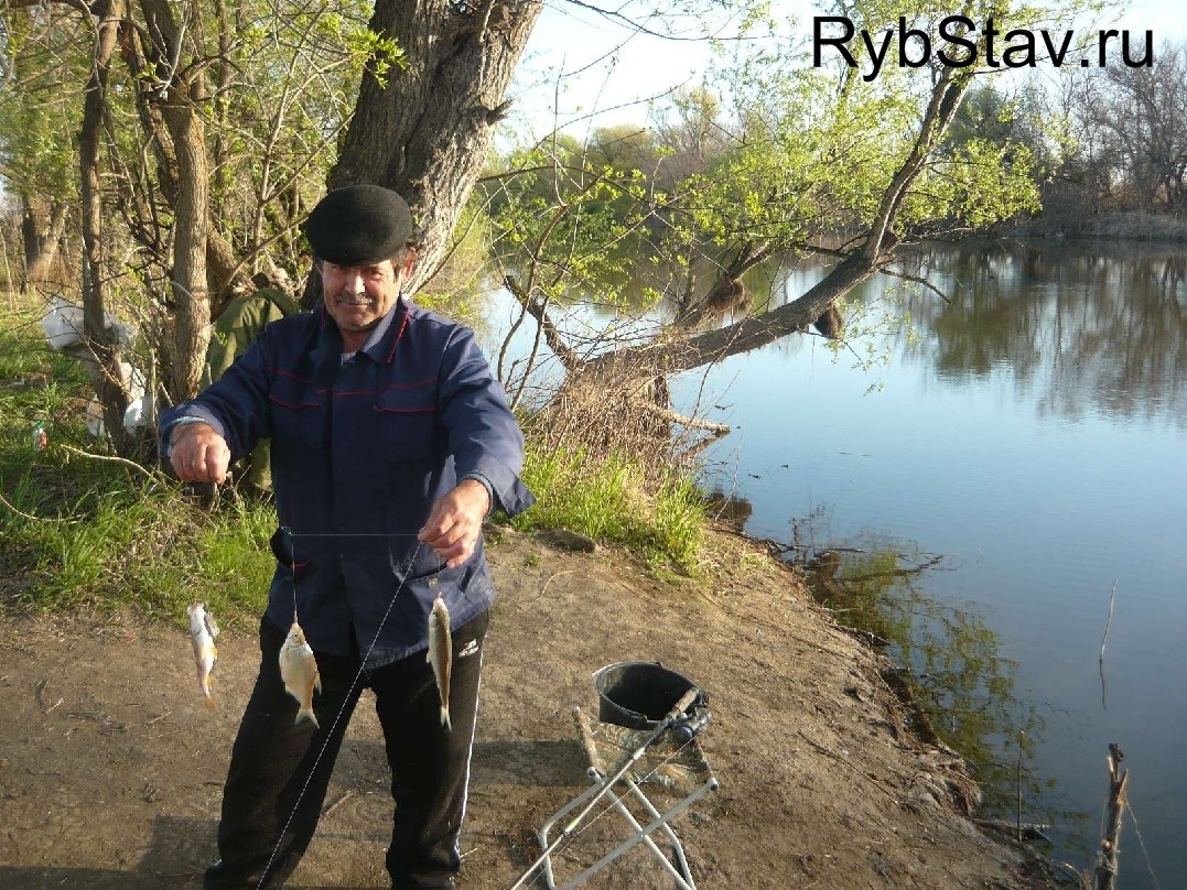 Снасть на воблу в астрахани. Снасти для рыбалки в Астрахани. Рыболовная снасть на воблу. Вобла рыбалка.