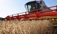 Хлеборобы Ипатовского округа стали лидерами по урожаю зерна на Ставрополье 