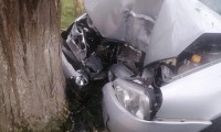 В Ипатовском округе водитель с признаками опьянения не справился с управлением и въехал в дерево