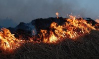 Несколько сотен тюков сена и соломы сгорели в частном подворье 
