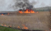 Почти 30 гектар пшеницы сгорело в Ипатовском округе