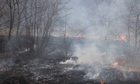 Пассовцы потушили пожар на пшеничном поле в Ипатовском округе